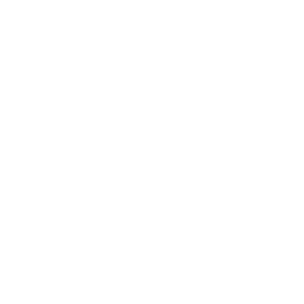 Paso 1 1er Paso